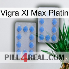 Vigra Xl Max Platinum 20